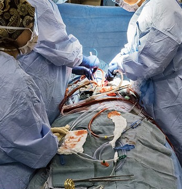 Cardiology Instruments